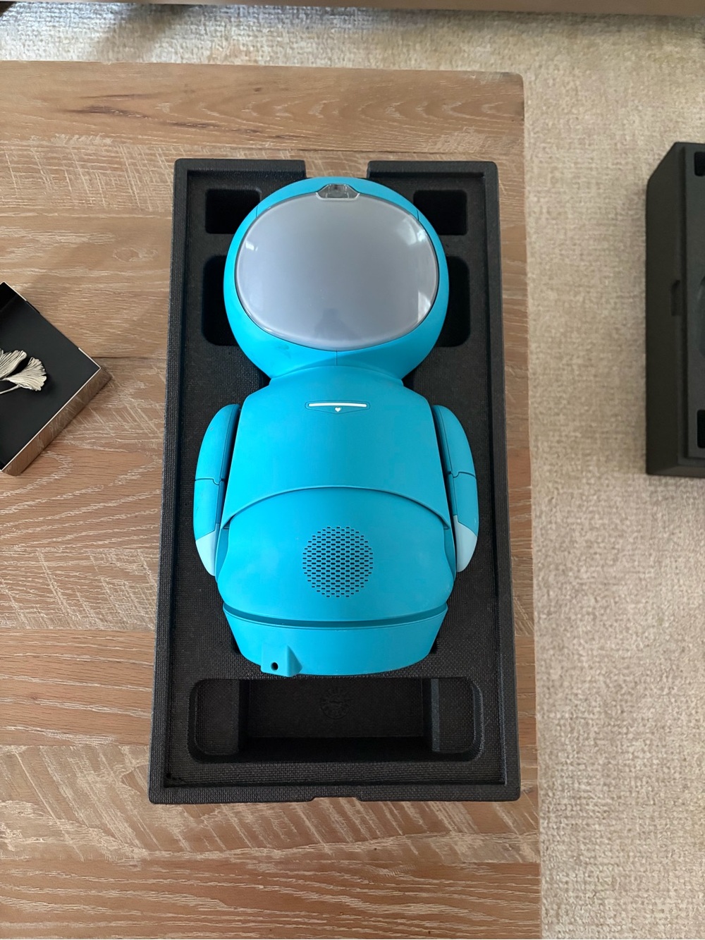 Embodied Moxie Robot